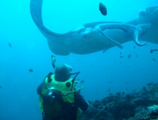  ¡O vea algunas de las vistas más increíbles que jamás haya visto! 